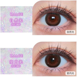 COLOR MAJORITY 1Day Innocent カラーマジョリティー イノセント